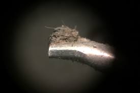 dirty record stylus